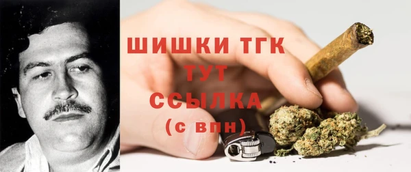 дживик Белоозёрский