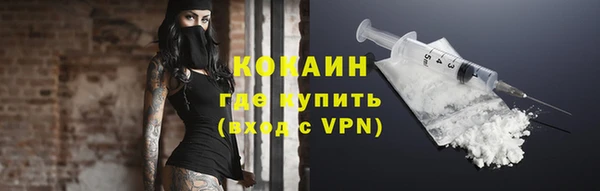 индика Сосновоборск