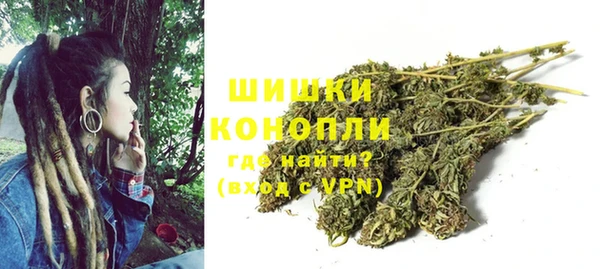 гидра Снежногорск